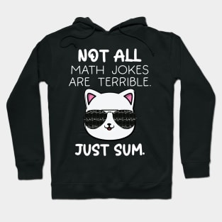 Not All Math Jokes Are Terrible Just Sum For Math Teachers Hoodie